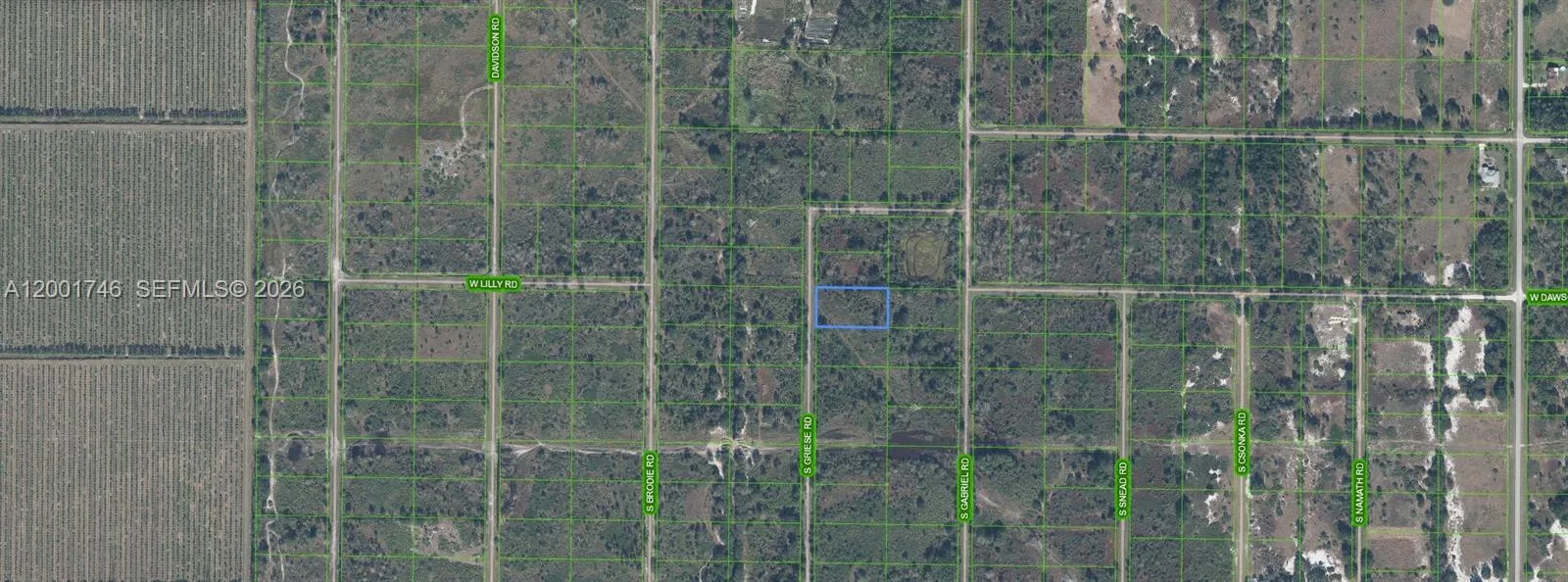 1335 S Griese Road, Avon Park, FL 33825 photo 2