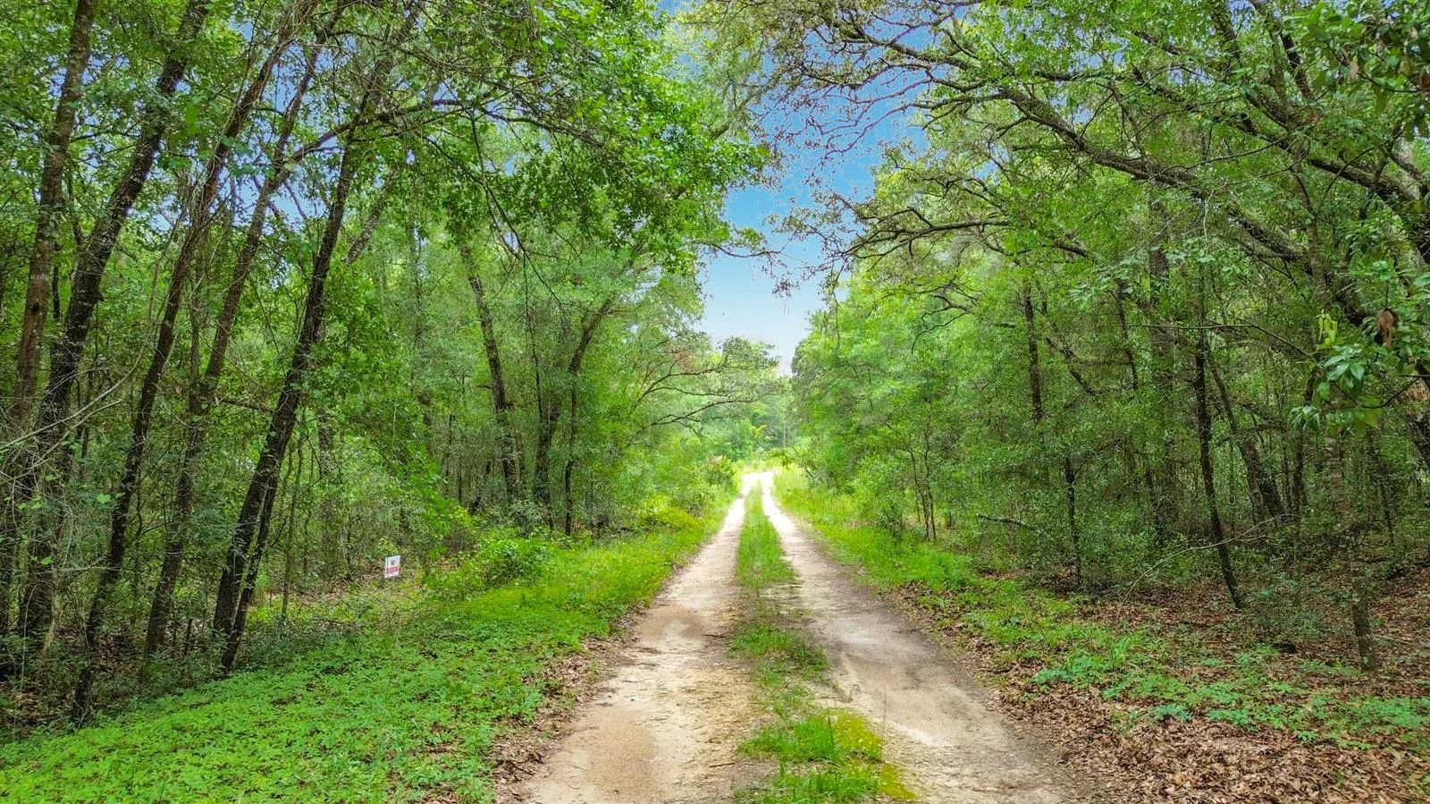 Sw 153rd Avenue SW Rainbow Park Avenue, Ocala, FL 34481 photo 10