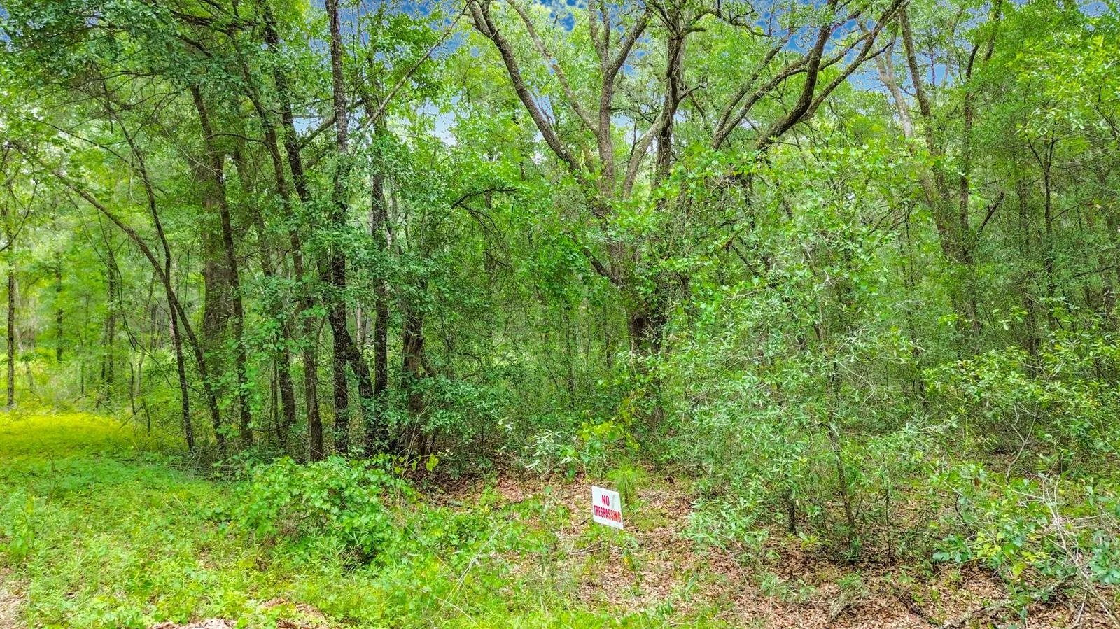Sw 153rd Avenue SW Rainbow Park Avenue, Ocala, FL 34481 photo 11