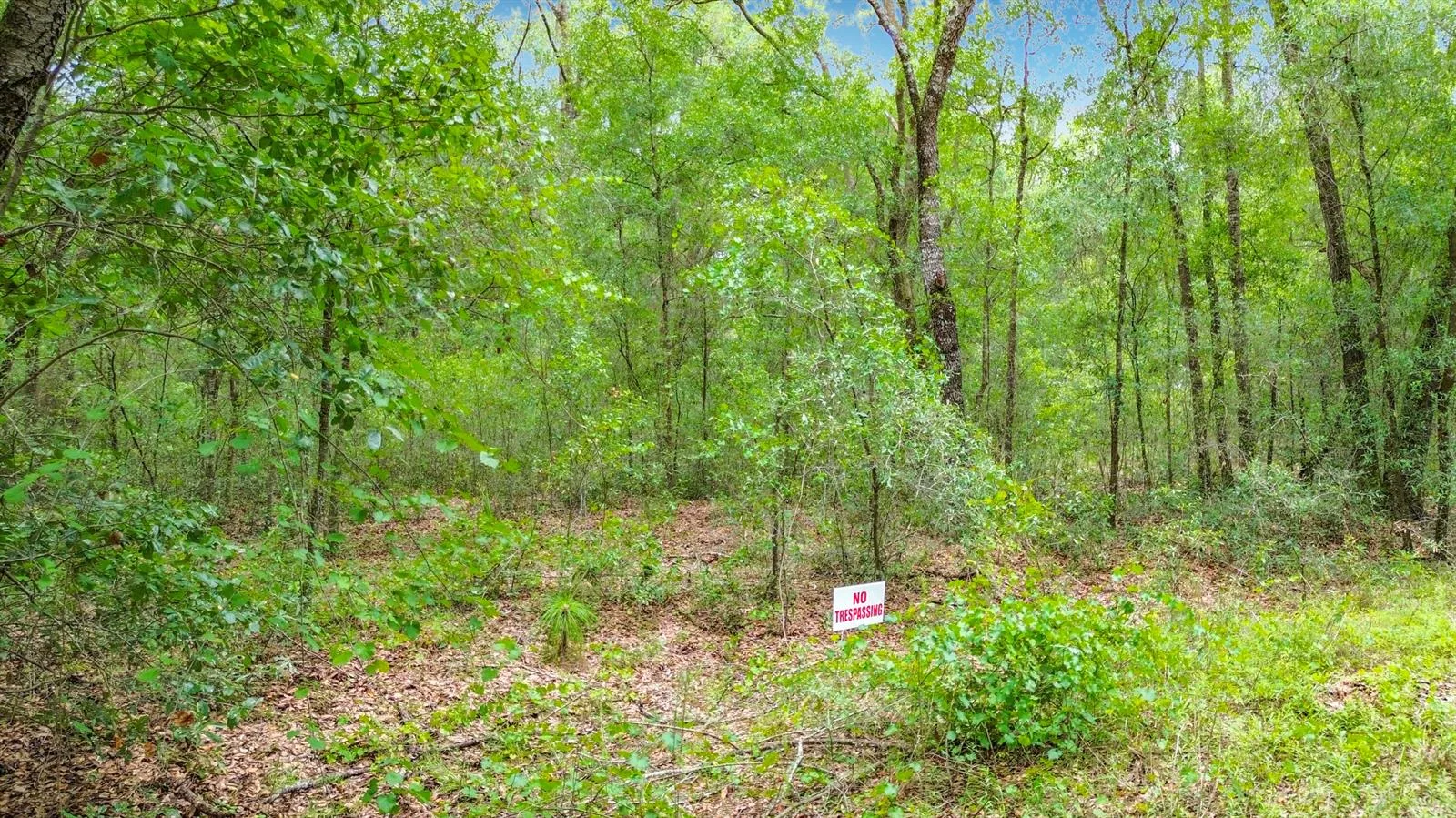 Sw 153rd Avenue SW Rainbow Park Avenue, Ocala, FL 34481 photo 12