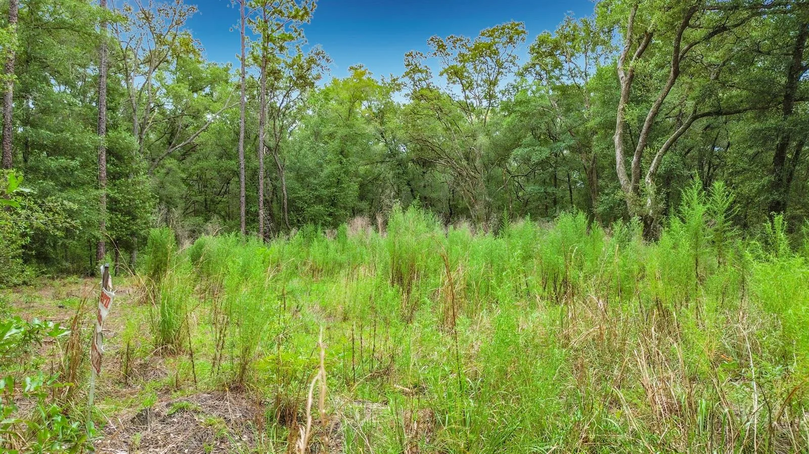 Sw 153rd Avenue SW Rainbow Park Avenue, Ocala, FL 34481 photo 13