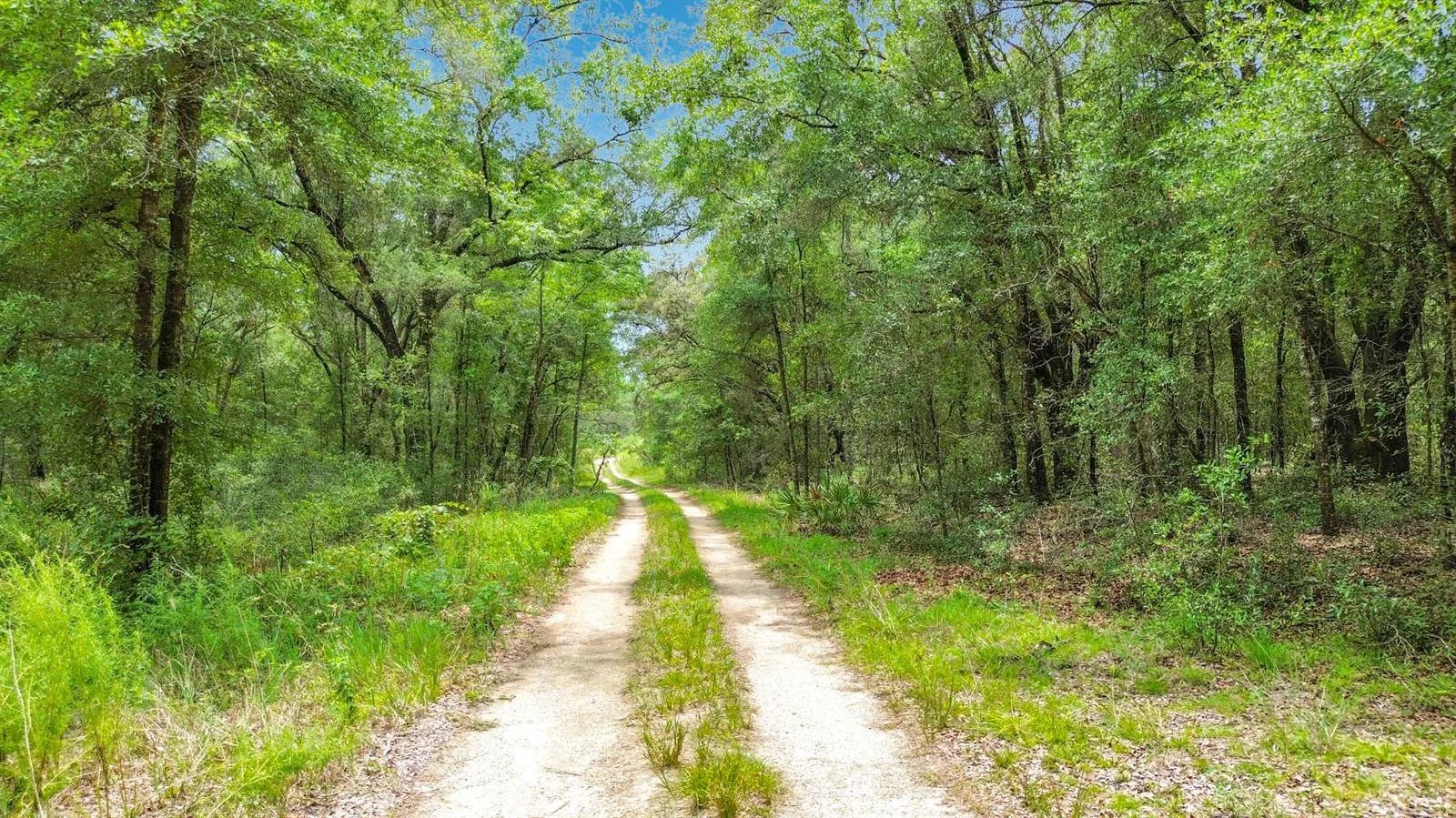 Sw 153rd Avenue SW Rainbow Park Avenue, Ocala, FL 34481 photo 8