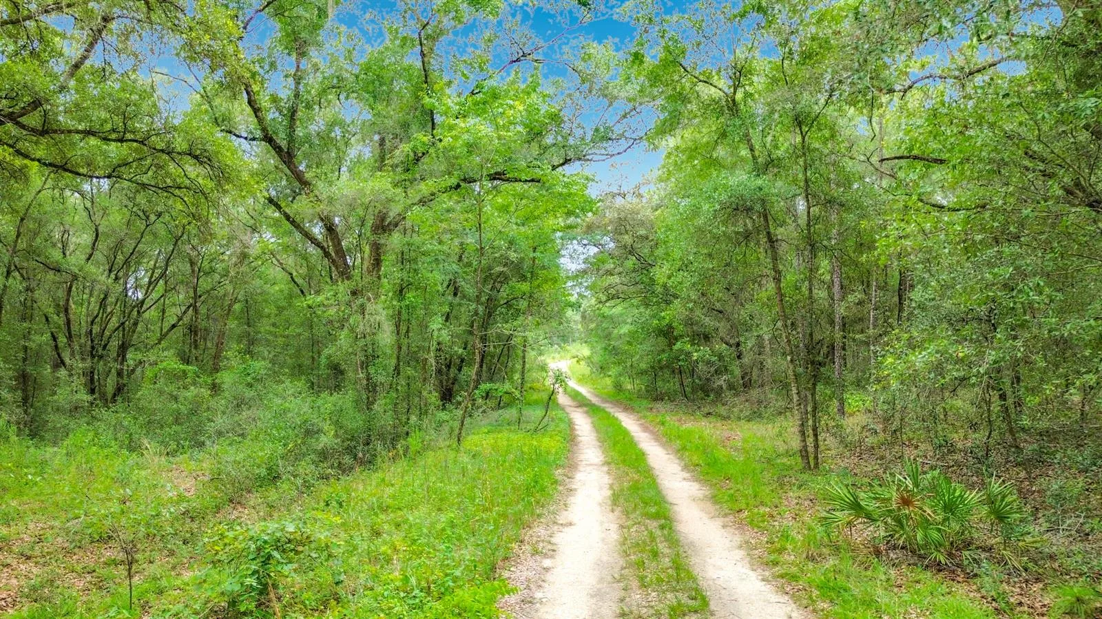Sw 153rd Avenue SW Rainbow Park Avenue, Ocala, FL 34481 photo 9