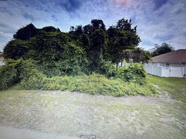 2955 SW 140th Loop, Ocala, FL 34473 photo 2