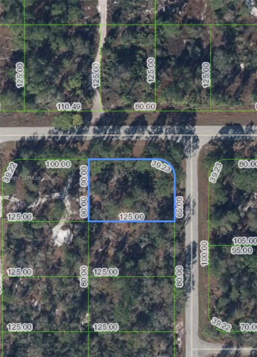 1215 Aleutian St NE, Lake Placid, FL 33852 photo 2