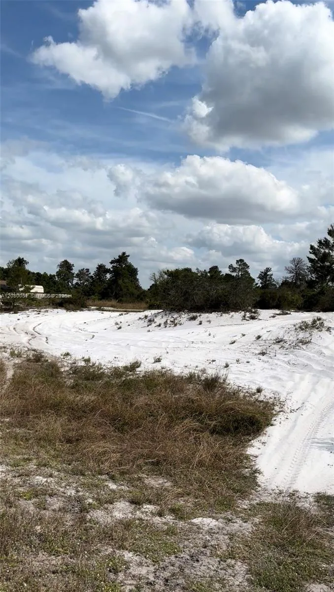 1215 Aleutian St NE, Lake Placid, FL 33852 photo 6