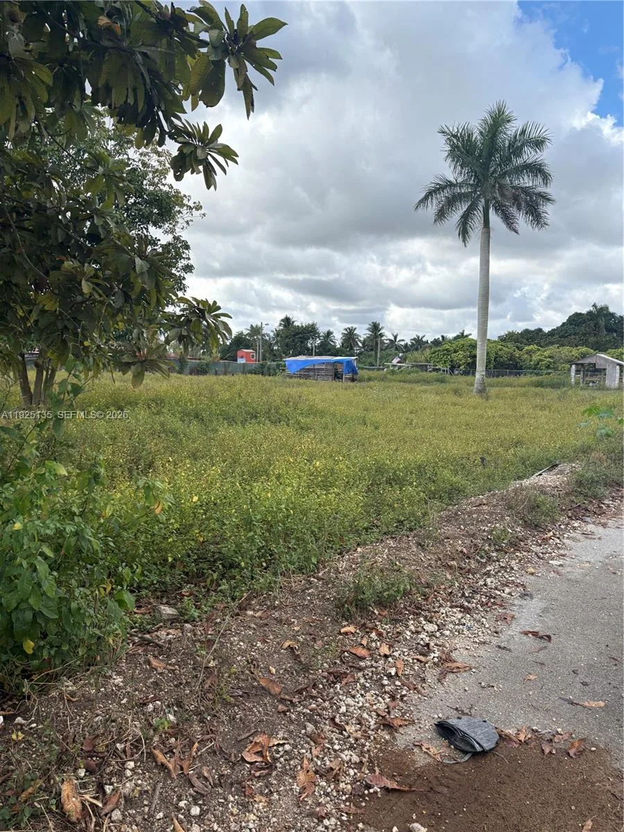 Krome Avenue, Miami FL 33196 photo 4