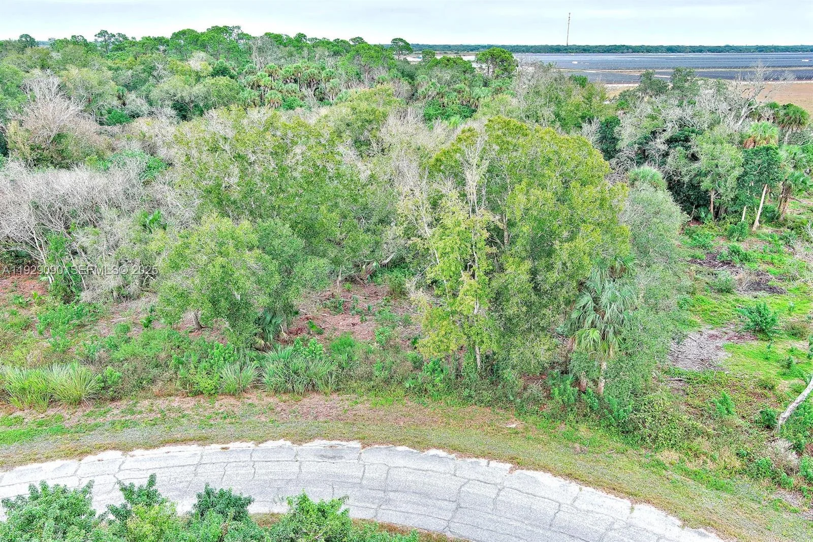 173 CAROUSEL AVE, La Belle, FL 33935