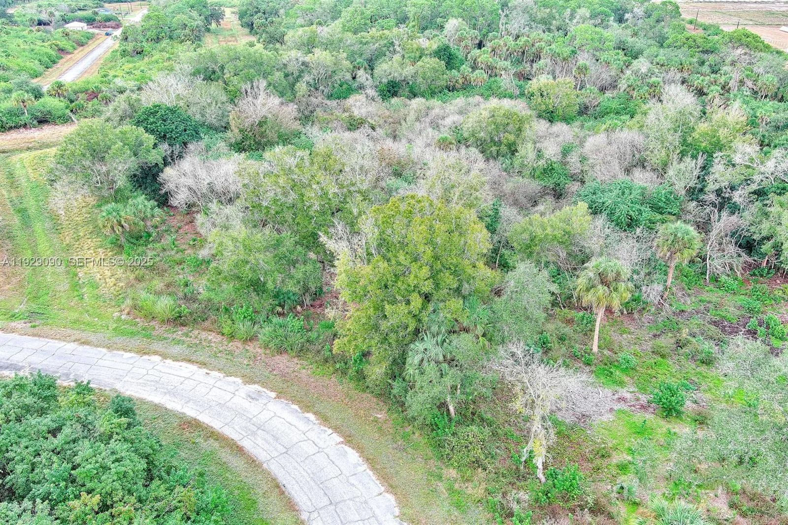 173 CAROUSEL AVE, La Belle, FL 33935 photo 10