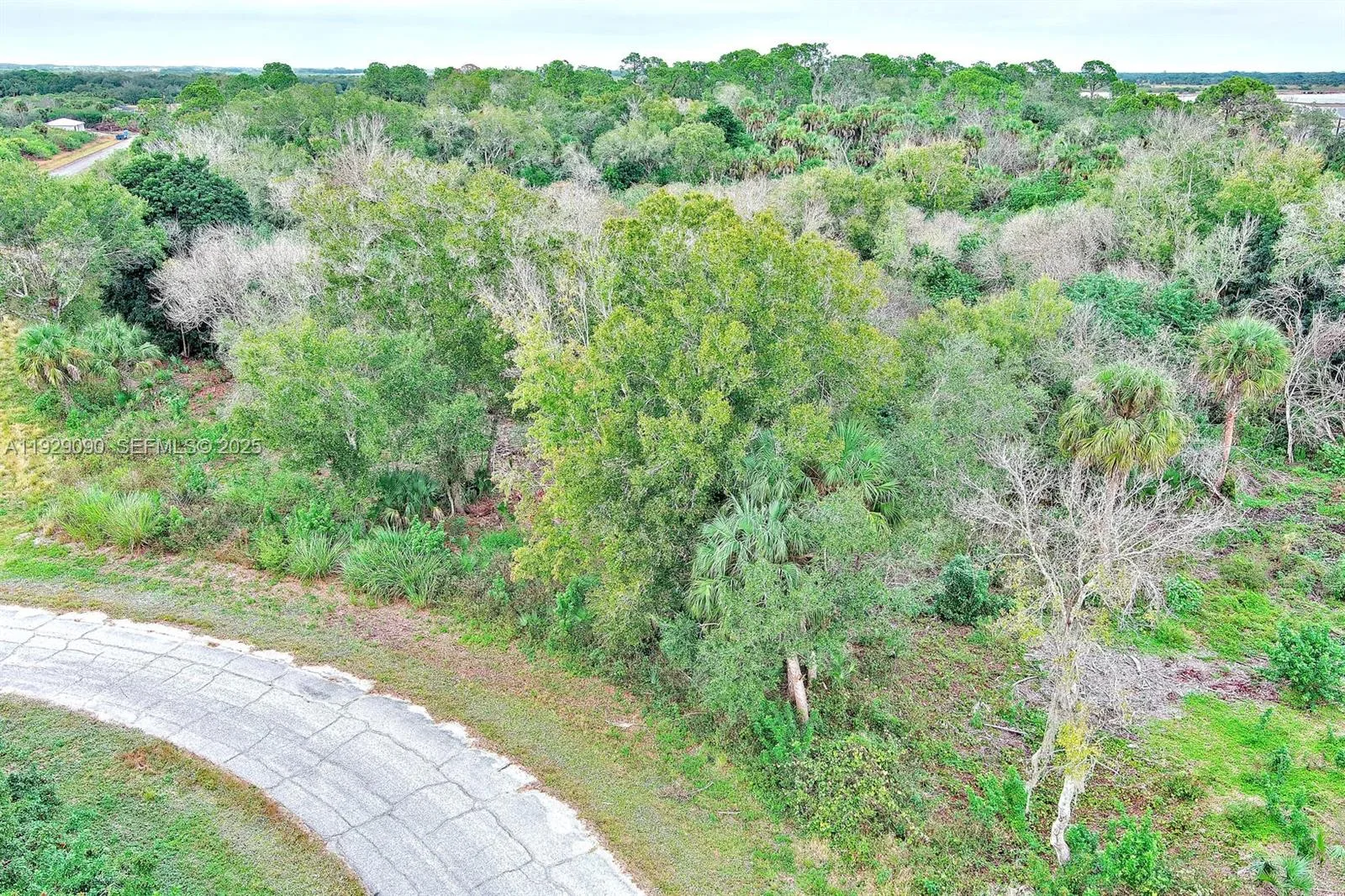 173 CAROUSEL AVE, La Belle, FL 33935 photo 4