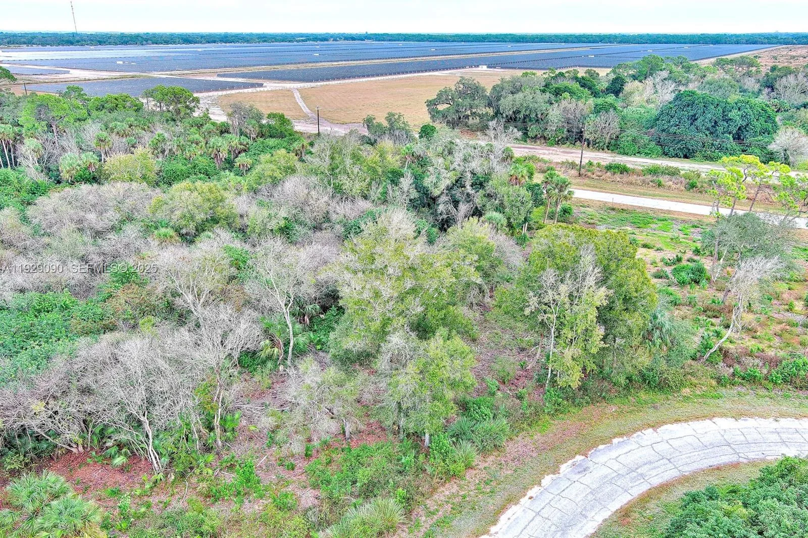 173 CAROUSEL AVE, La Belle, FL 33935 photo 5