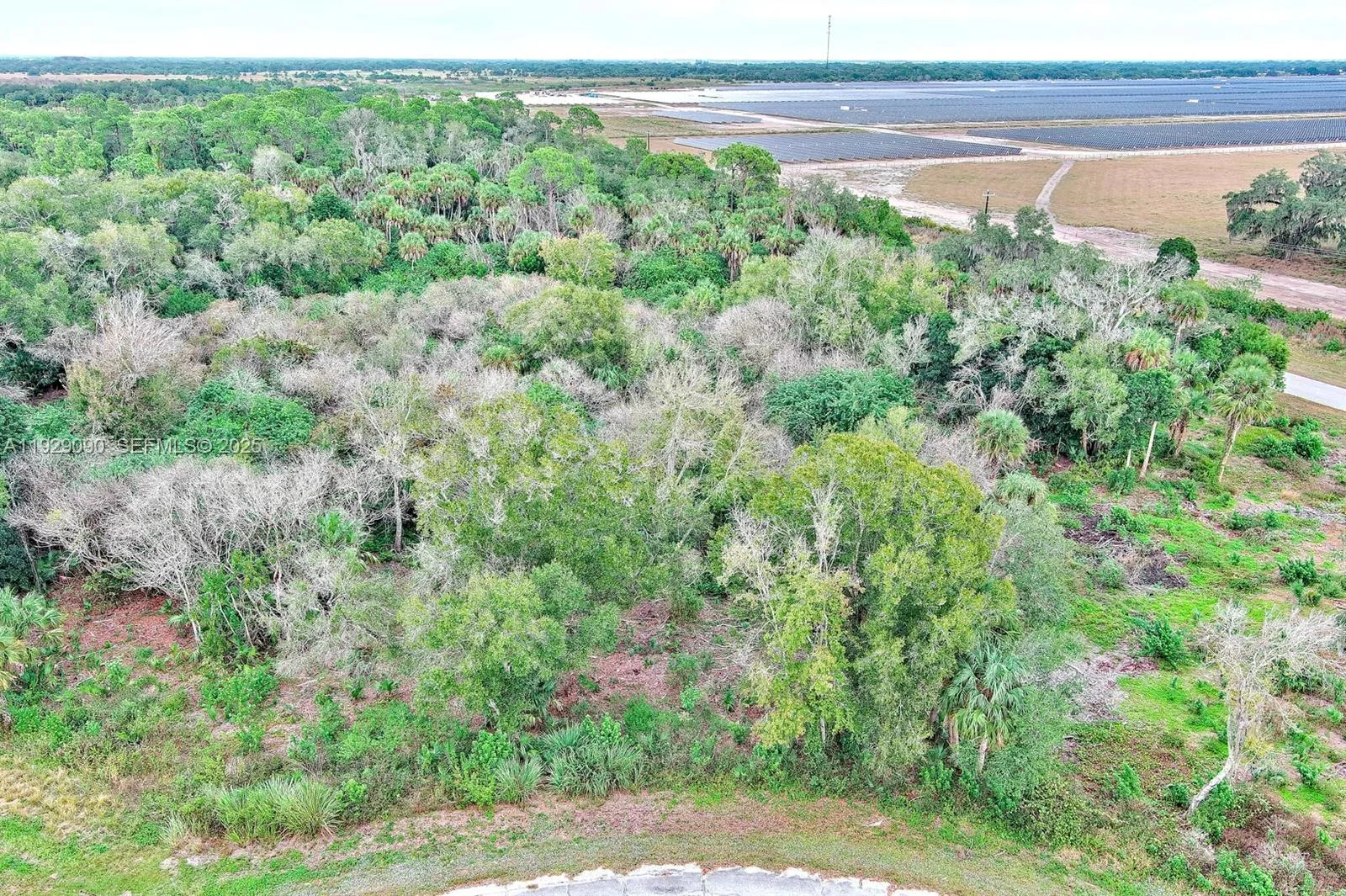 173 CAROUSEL AVE, La Belle, FL 33935 photo 8