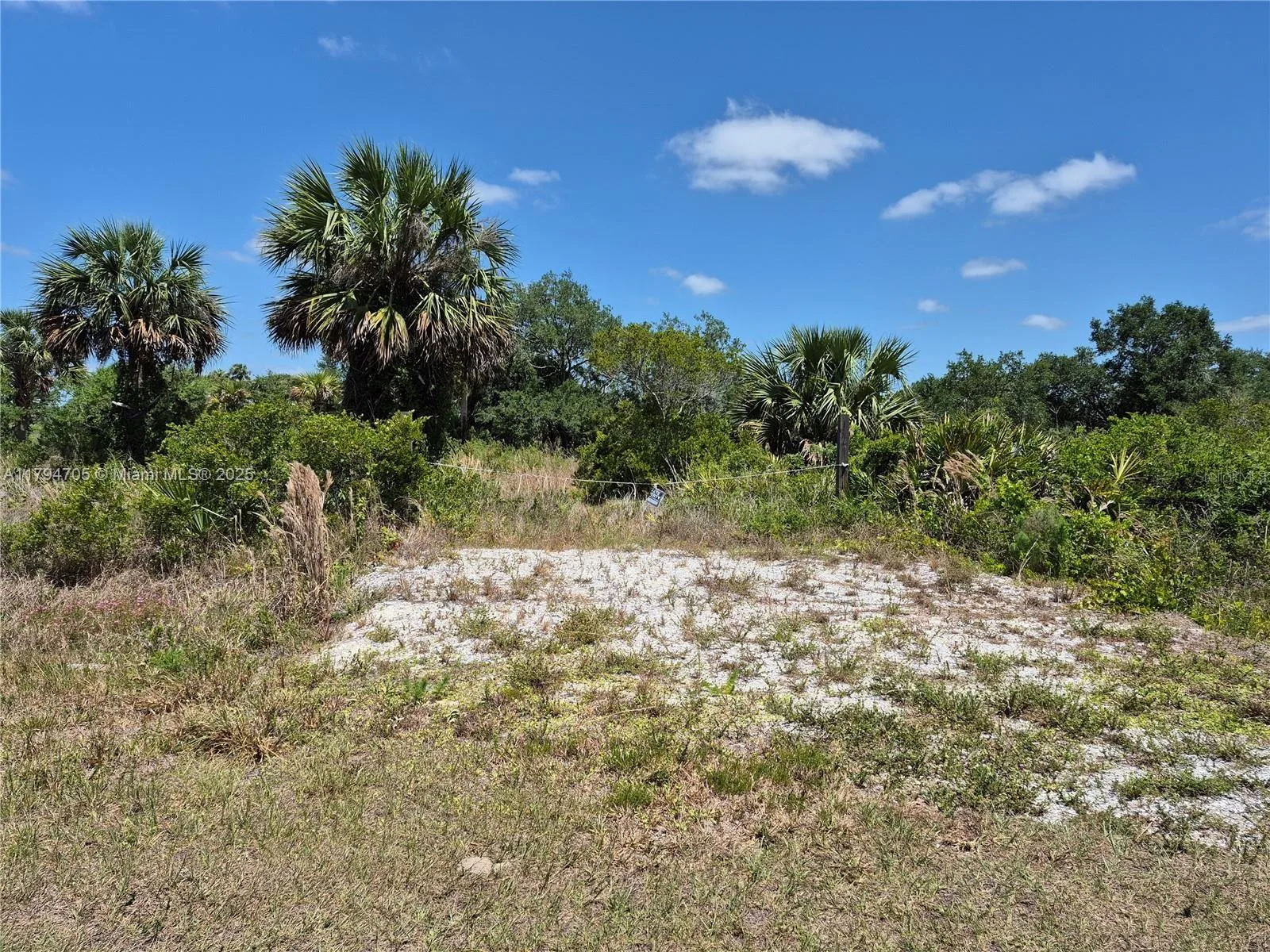 17763 NW 310th Street, Okeechobee, FL 34974 photo 2