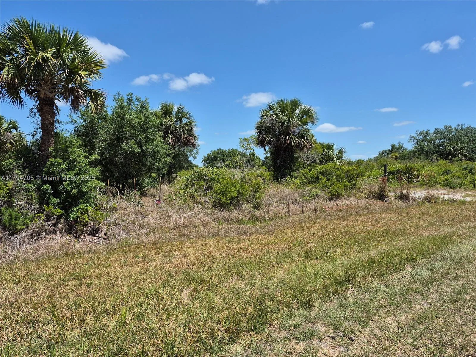 17763 NW 310th Street, Okeechobee, FL 34974 photo 3