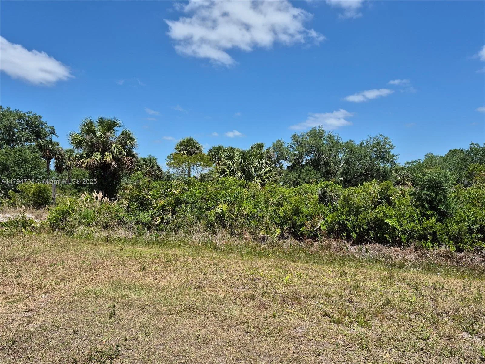 17763 NW 310th Street, Okeechobee, FL 34974 photo 4