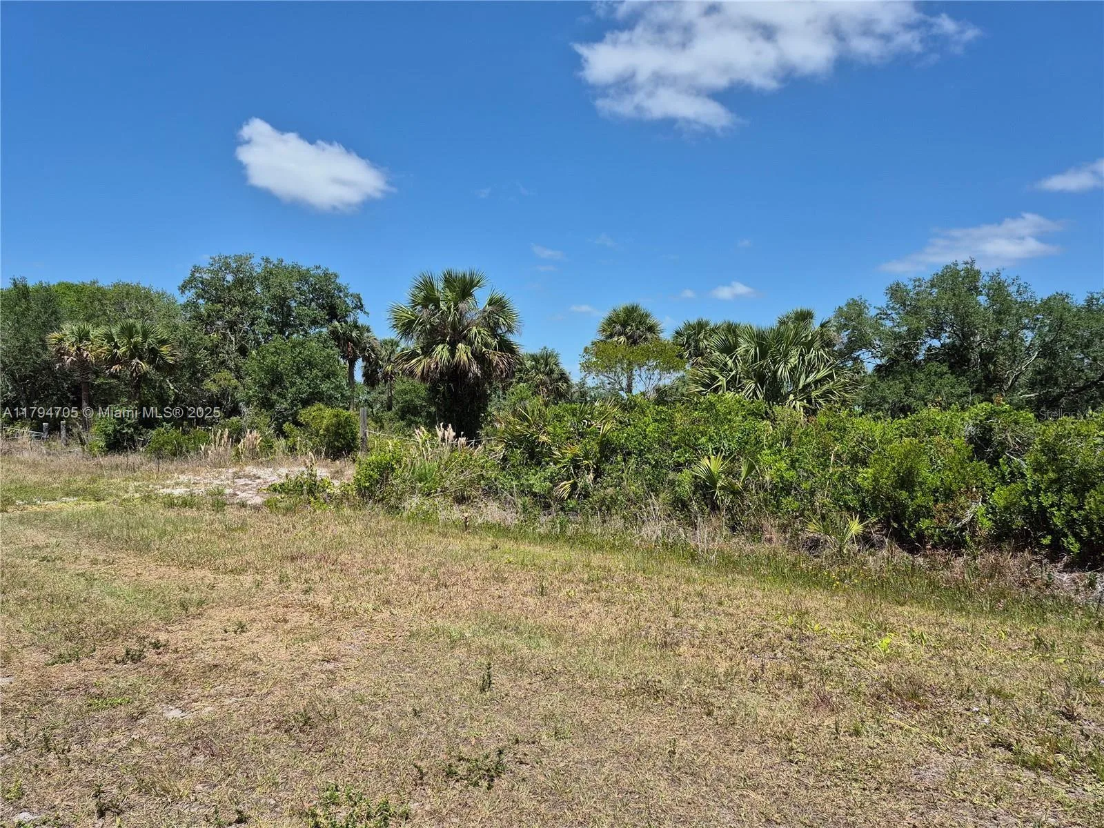 17763 NW 310th Street, Okeechobee, FL 34974 photo 5