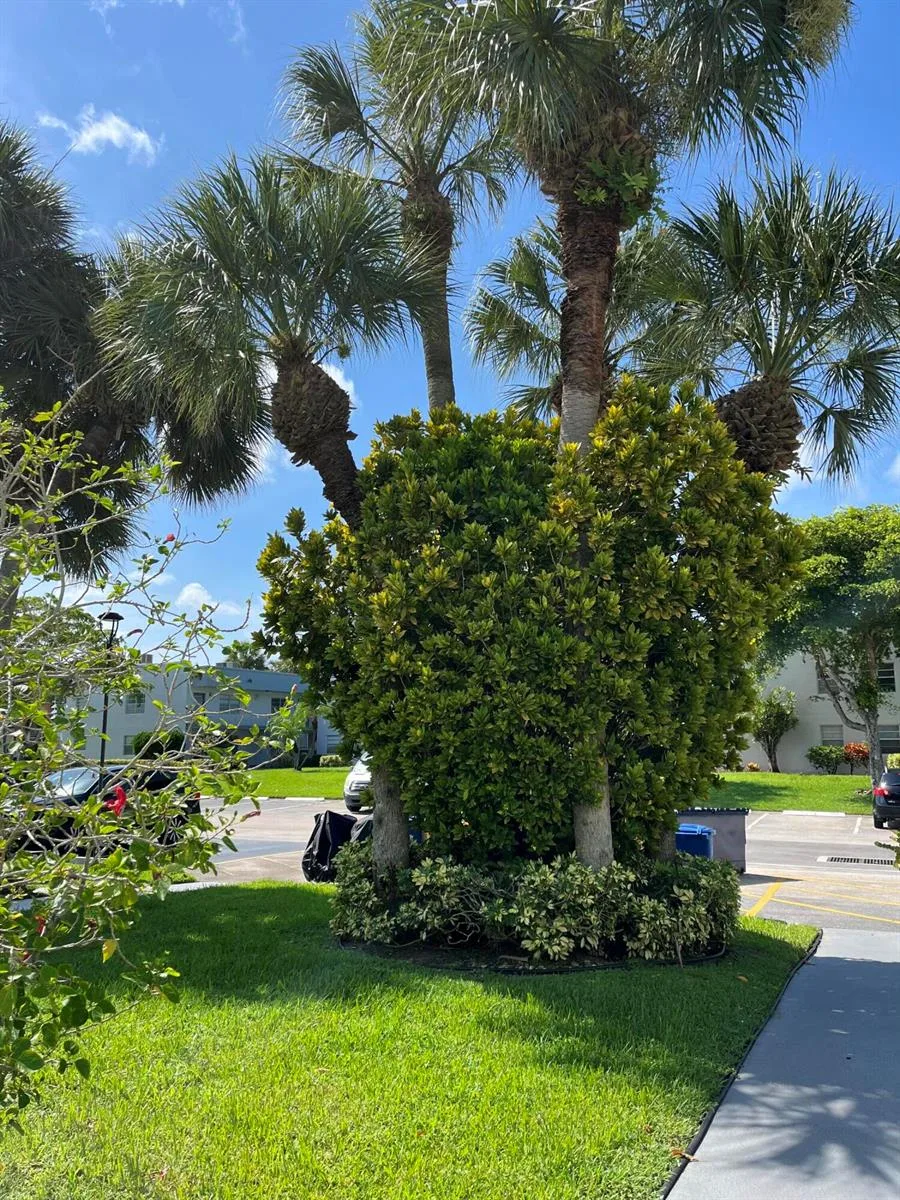 23 Piedmont # A, Delray Beach, FL 33484 photo 3