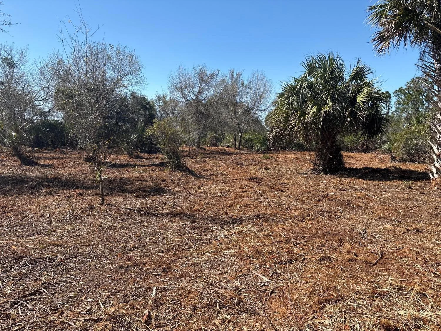 0 NW 304th Street, Okeechobee, FL 34972
