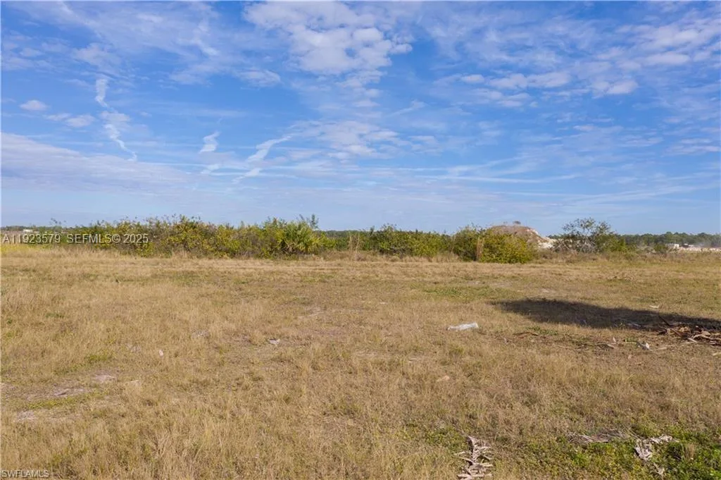 3923 NW 33RD PL, Cape Coral, FL 33993 photo 10