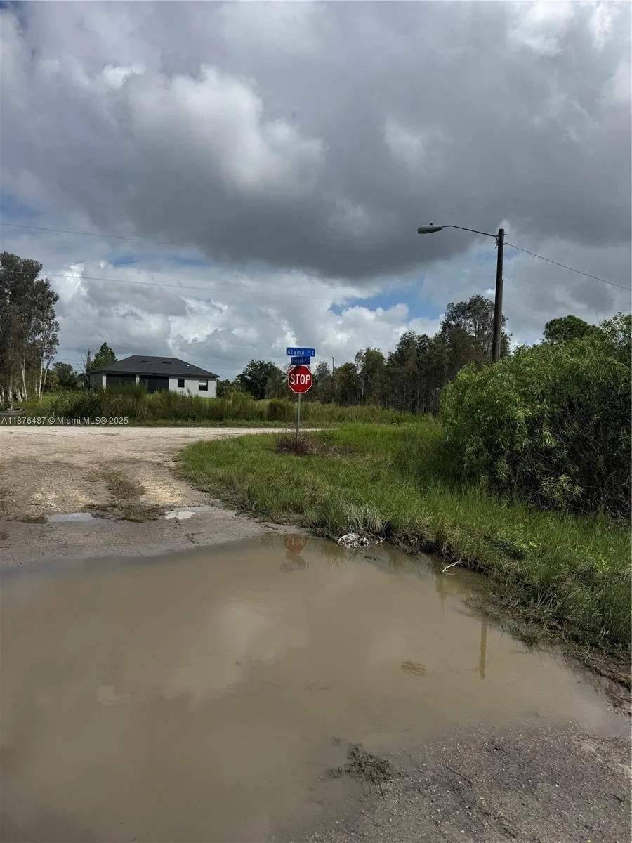 1005 PORTLAND, Lehigh Acres, FL 33974 photo 3