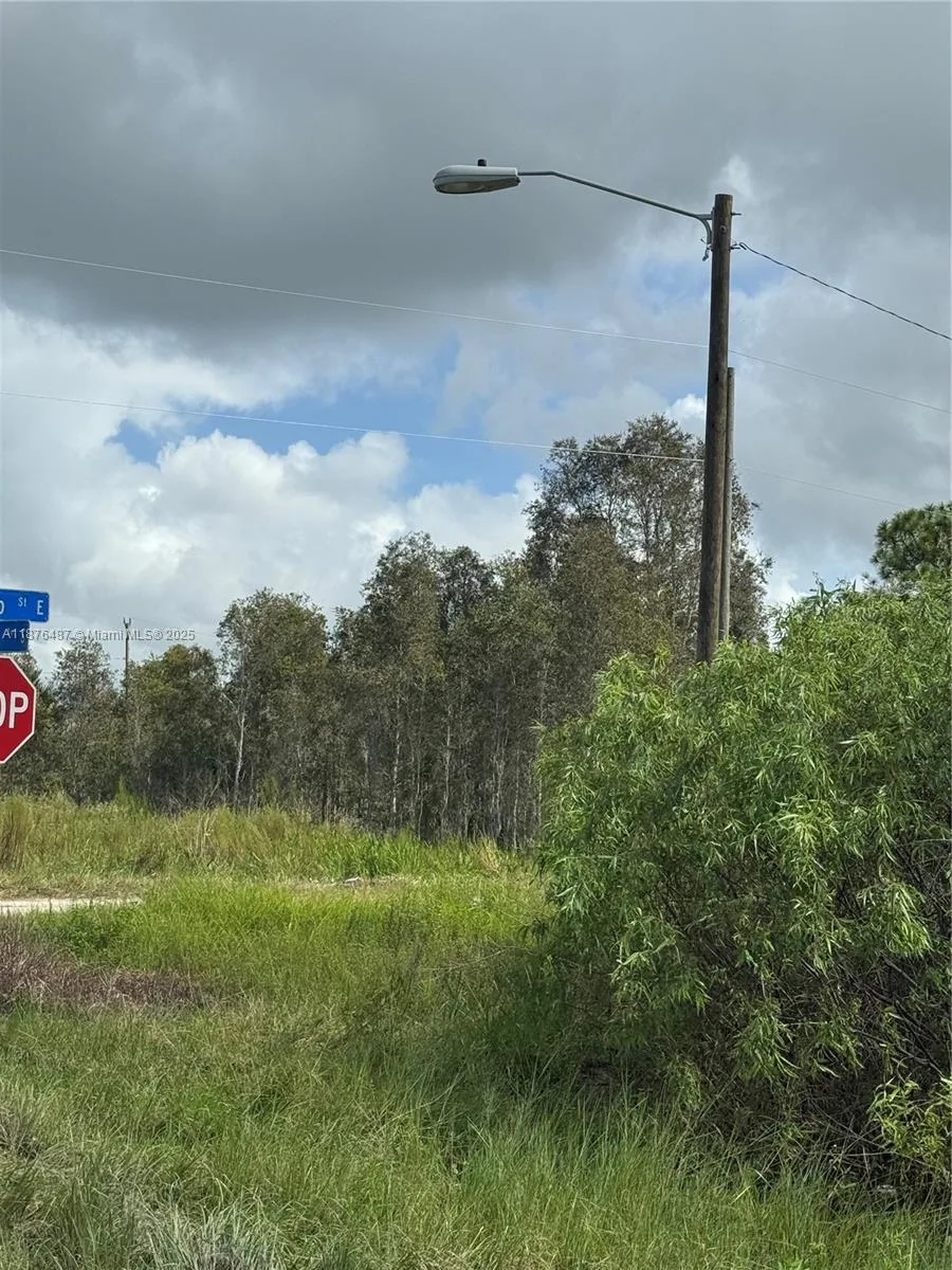 1005 PORTLAND, Lehigh Acres, FL 33974 photo 4