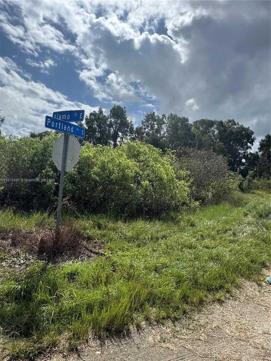1005 PORTLAND, Lehigh Acres, FL 33974 photo 5