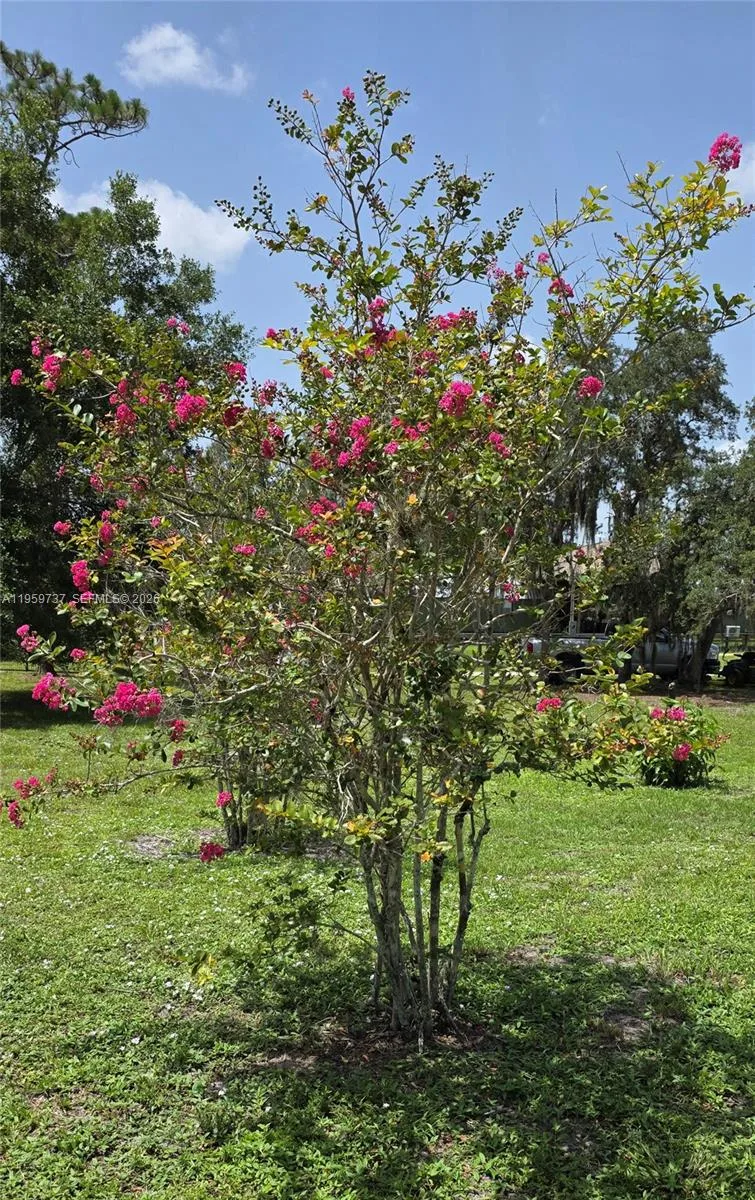 1627 Sunset Tr, La Belle, FL 33935 photo 3