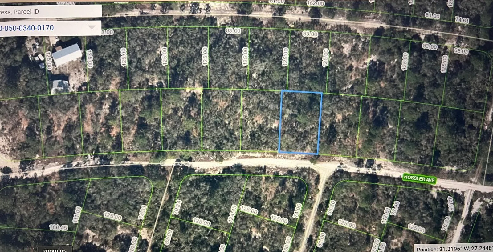 328 Hossler Avenue, Lake Placid, FL 33852 photo 8