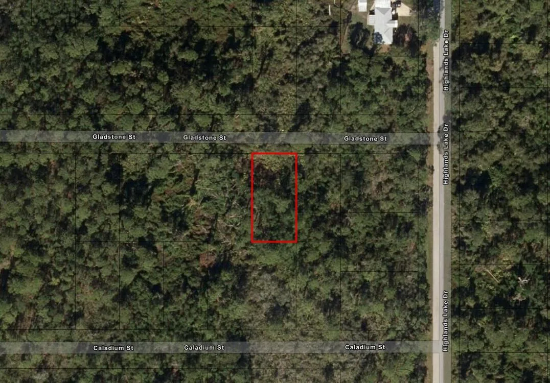 1521 Gladstone Street, Lake Placid, FL 33852
