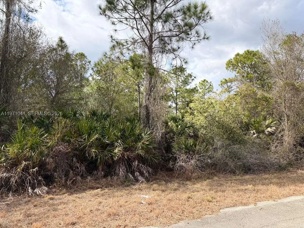 2119 LEROY, Lehigh Acres, FL 33920 photo 2