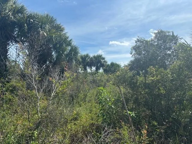 0 NW 310th Street, Okeechobee, FL 34972
