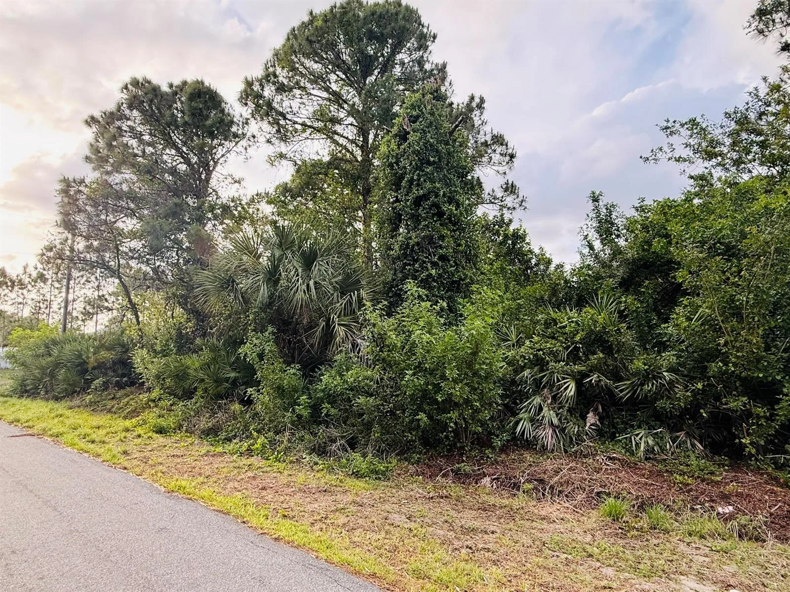 0000 Thames Road SE, Palm Bay, FL 32909 photo 4