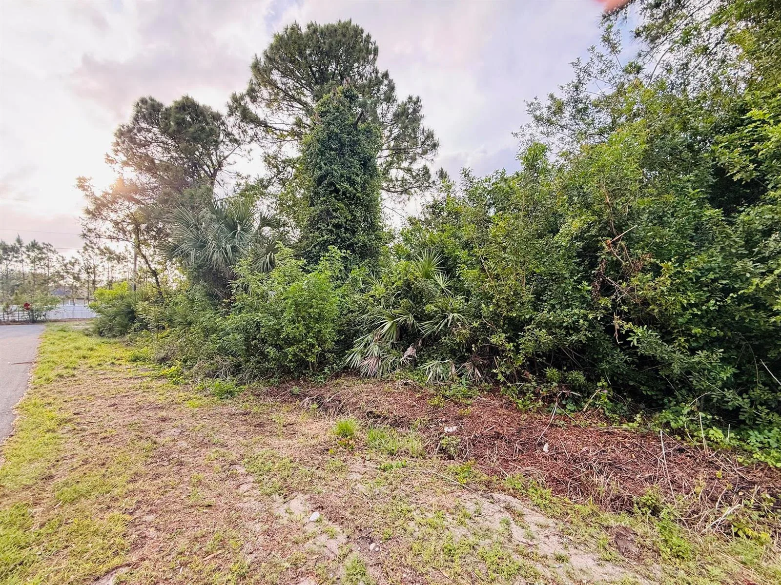 0000 Thames Road SE, Palm Bay, FL 32909 photo 5