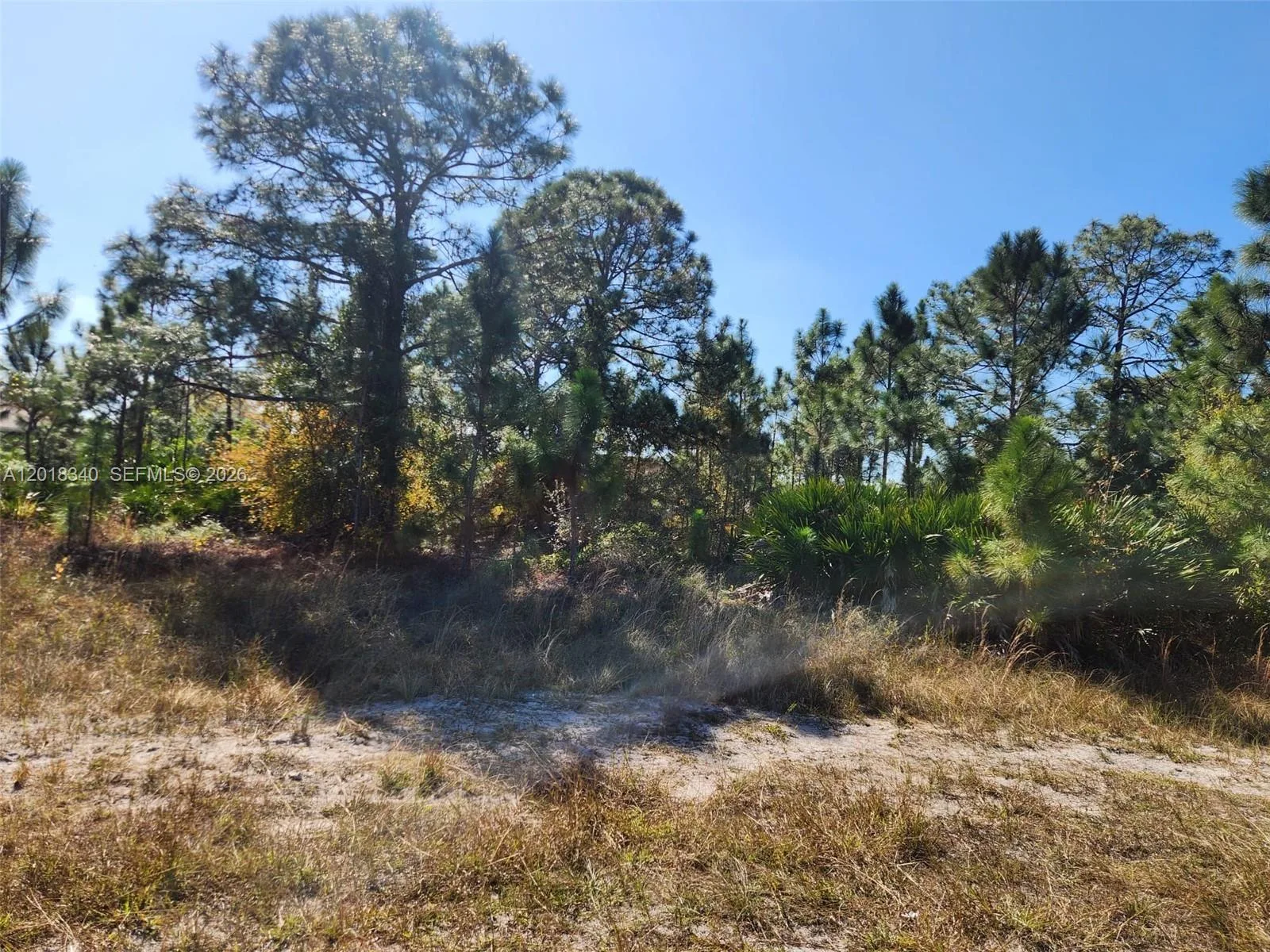 706 JOHNS AVE, Lehigh Acres, FL 33972