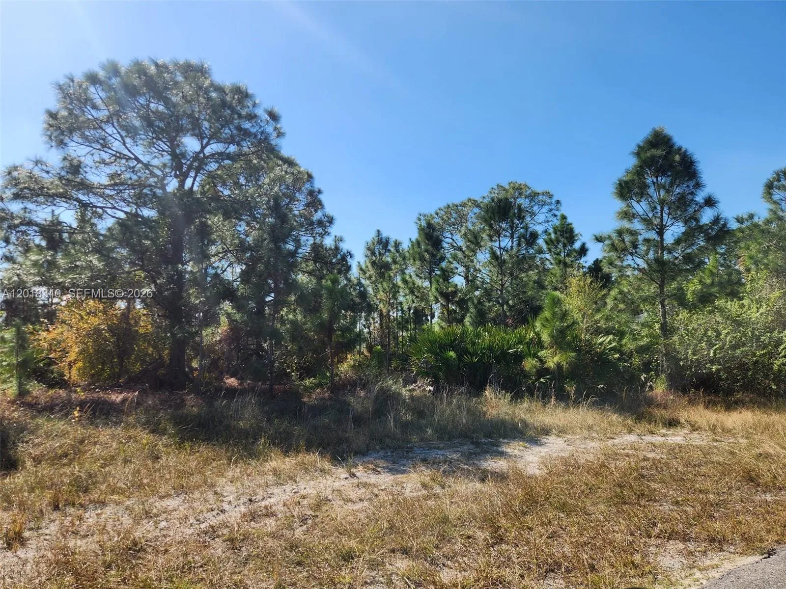 706 JOHNS AVE, Lehigh Acres, FL 33972 photo 3