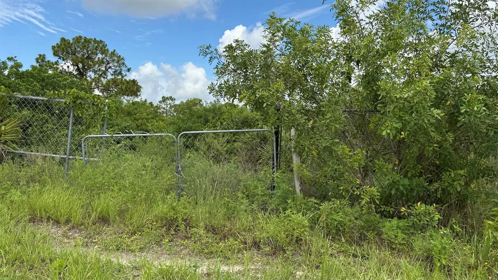 13074 71st Place N, FL 33412 photo 3