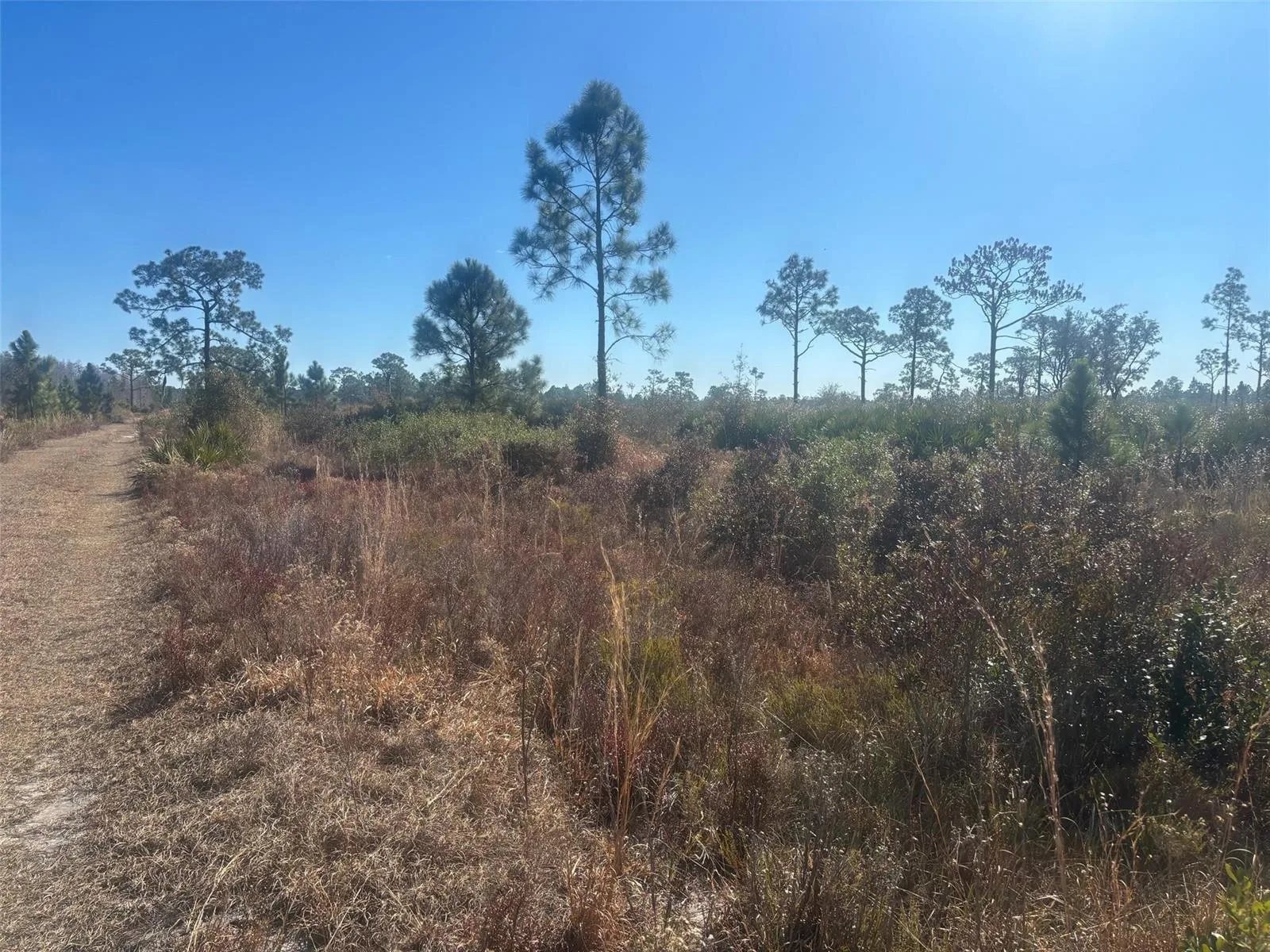 0 Xeriscape Nursery Road, Frostproof, FL 33898