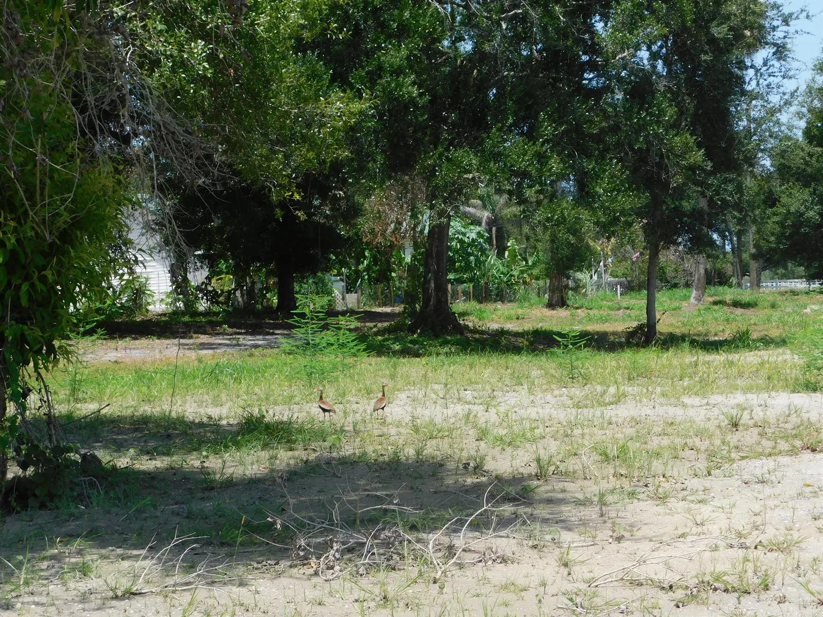 3625 SUNRISE Boulevard, Fort Pierce, FL 34982 photo 11
