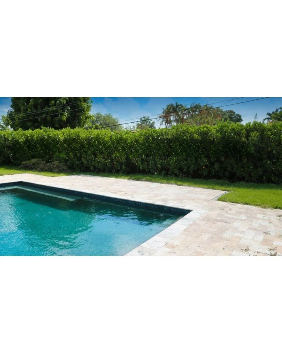 2801 NE 2nd Avenue, Wilton Manors, FL 33334 photo 3