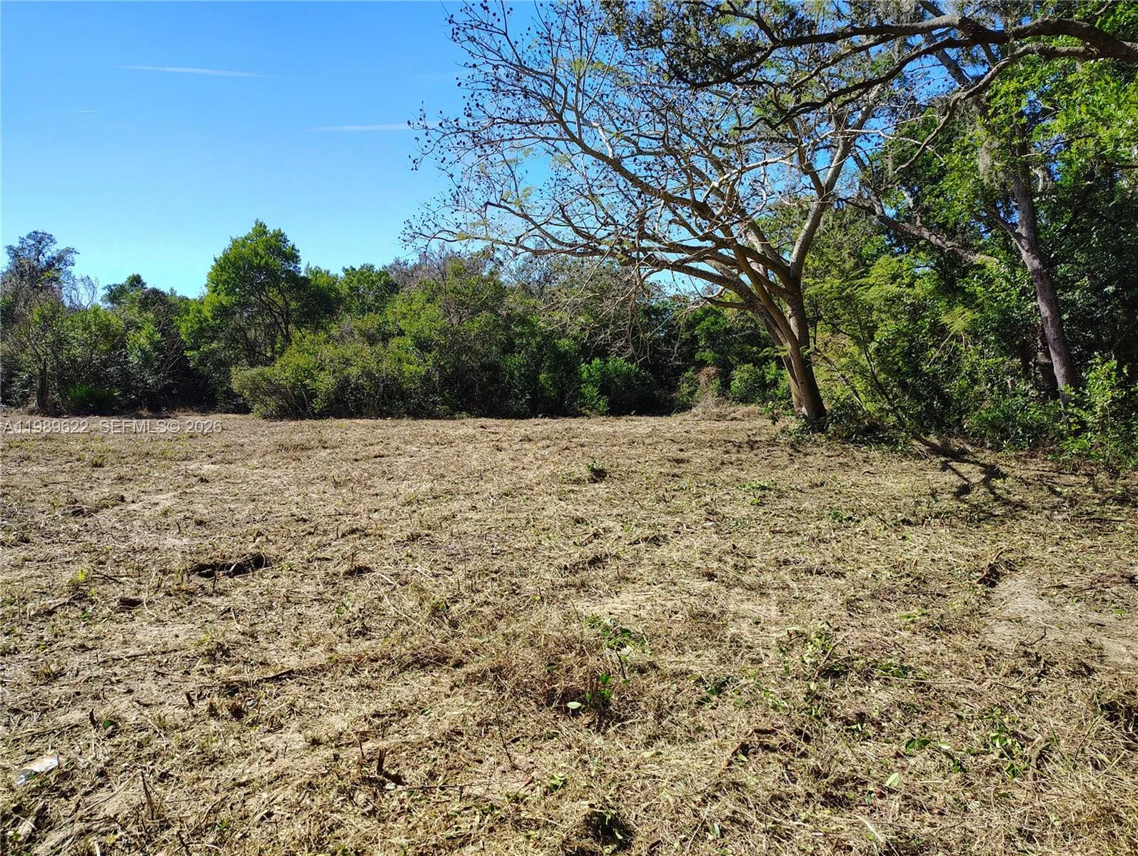 3505 Bethune, Sebring, FL 33876