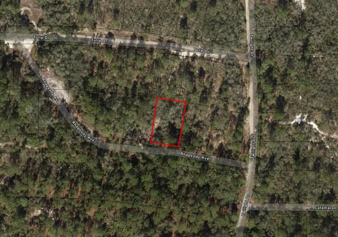 284 Rhapsody Avenue, Lake Placid, FL 33852 — zdjęcie 4