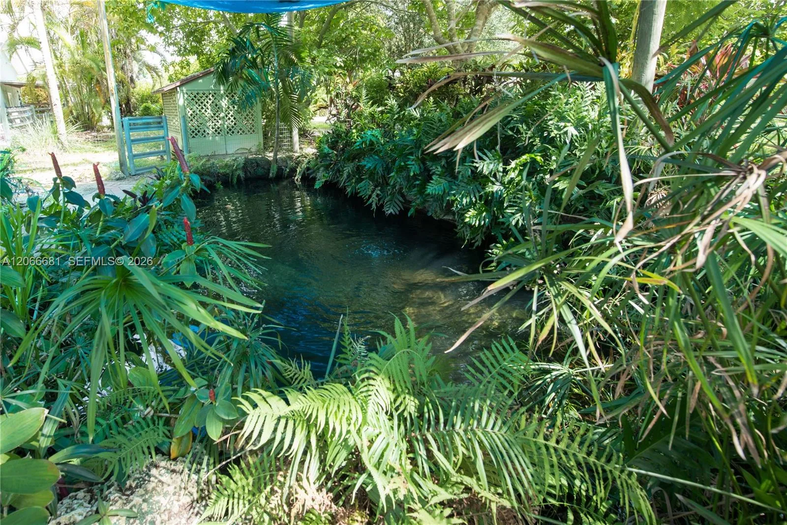 15720 SW 258th St, Homestead, FL 33031 photo 10