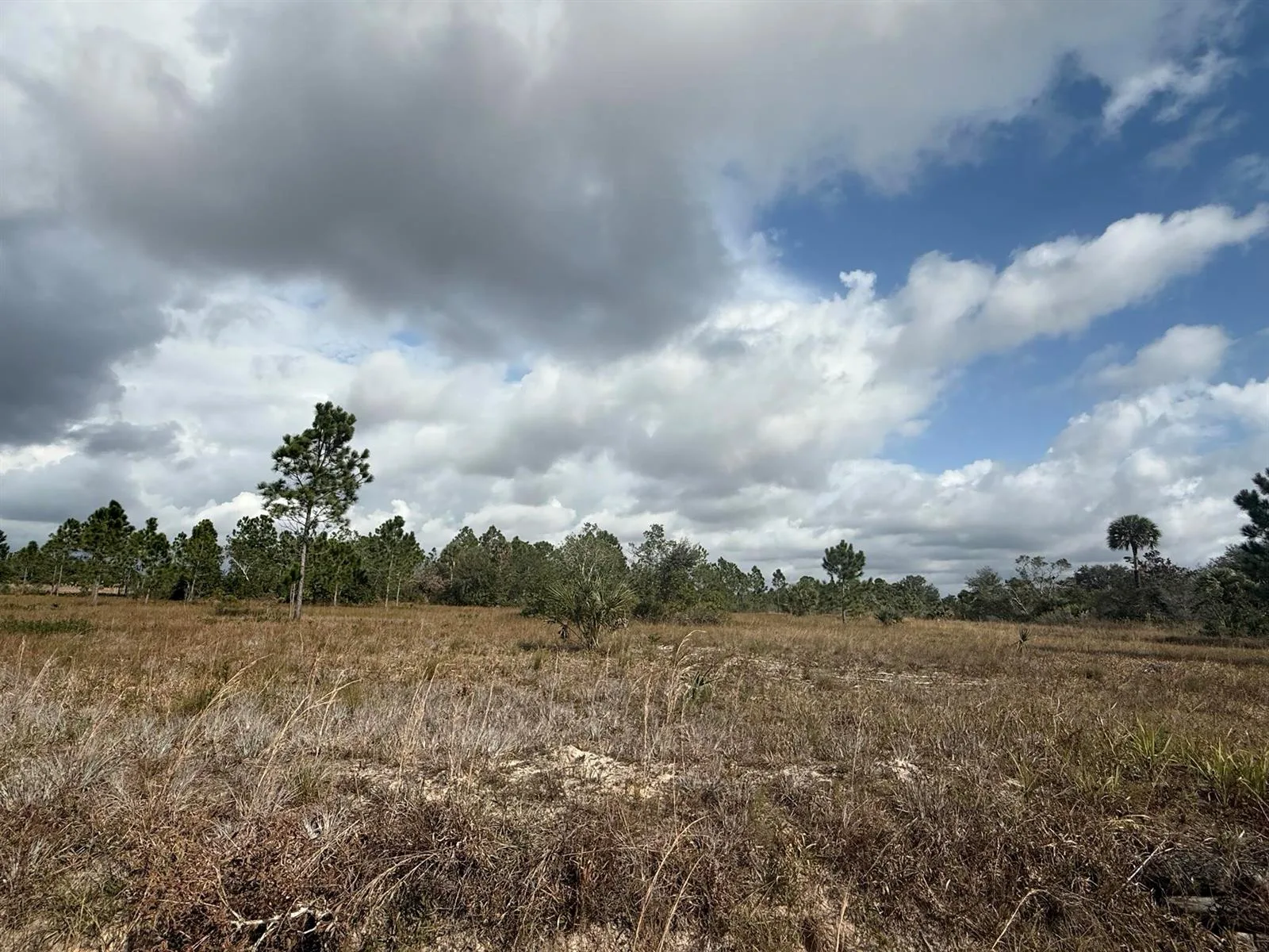 16375 NW 314th Street, Okeechobee, FL 34972 photo 4