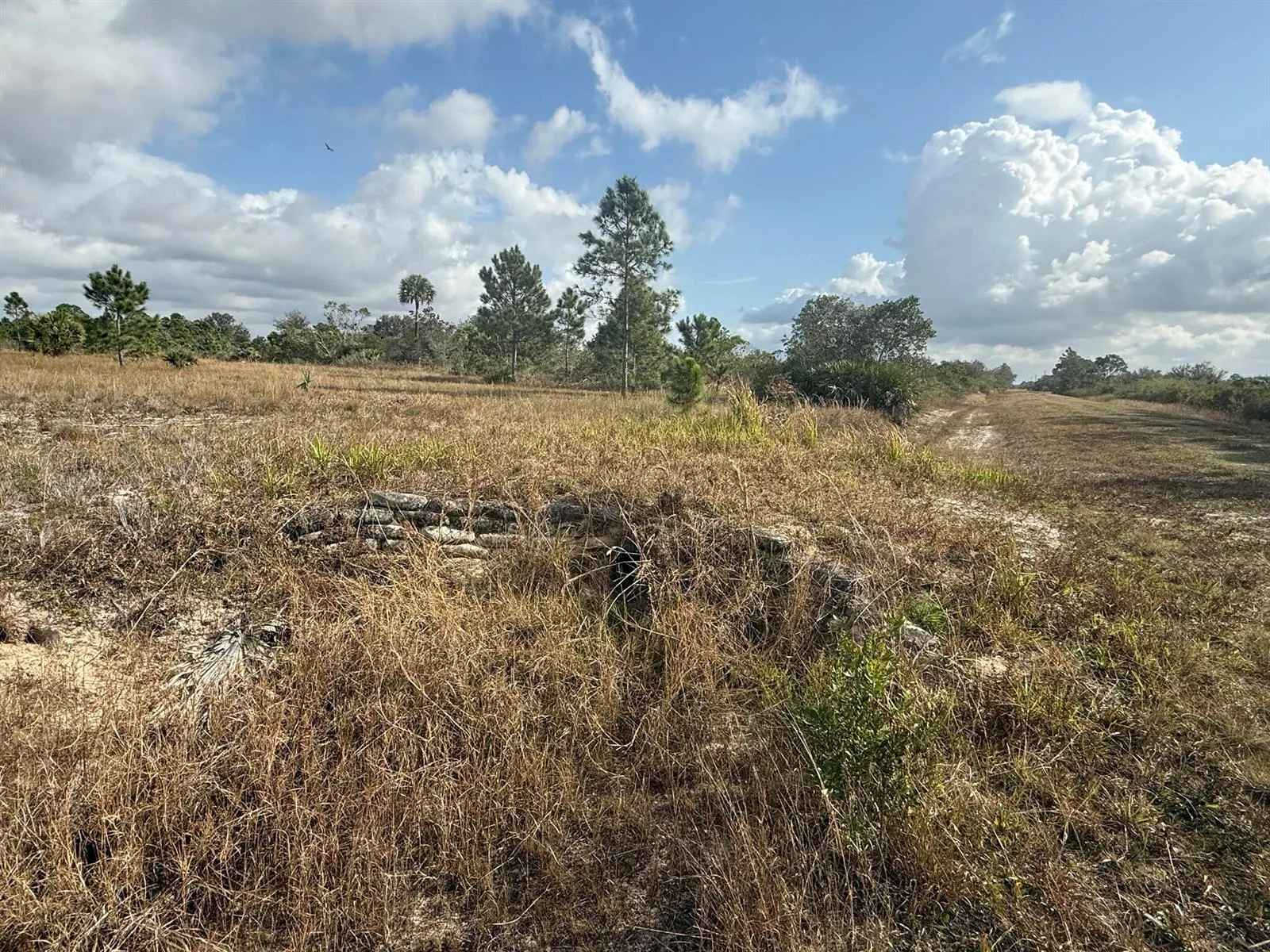 16375 NW 314th Street, Okeechobee, FL 34972 photo 6