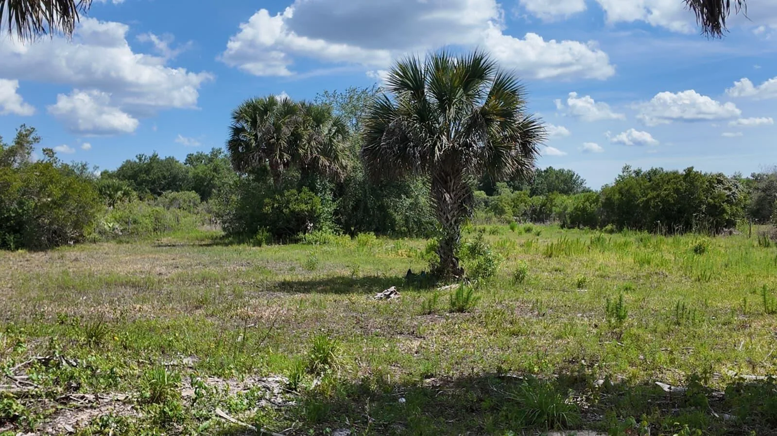 18980 NW 274th Street, Okeechobee, FL 34972