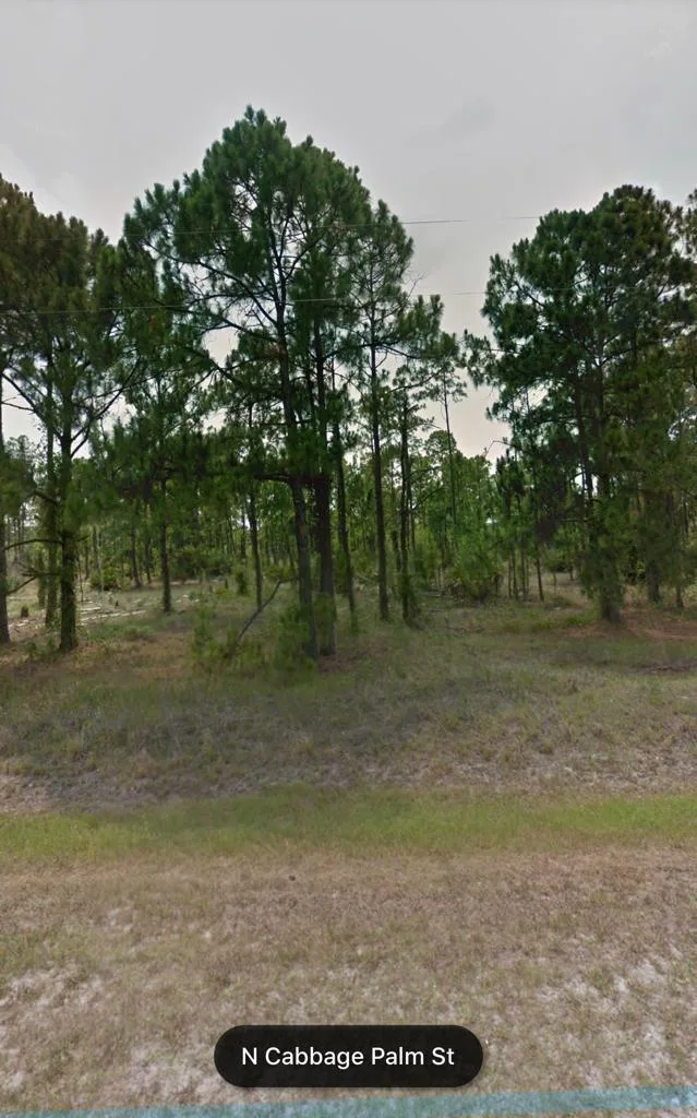 470 N Cabbage Palm Street, Clewiston, FL 33440 photo 3