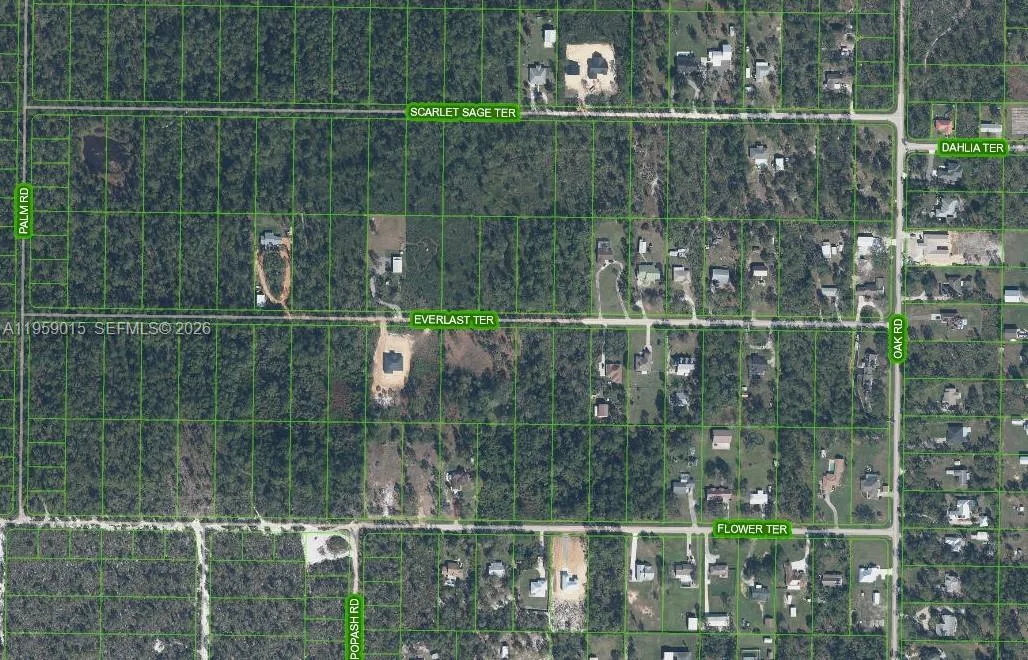 1977 SCARLET SAGE TER, Sebring, FL 33875 photo 4