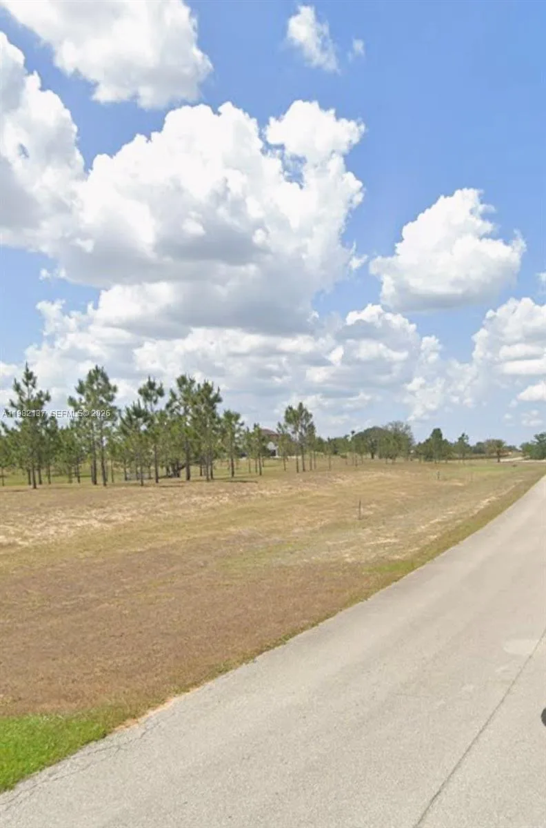 1009 ORANGE CREEK LN, Sebring, FL 33870 photo 2