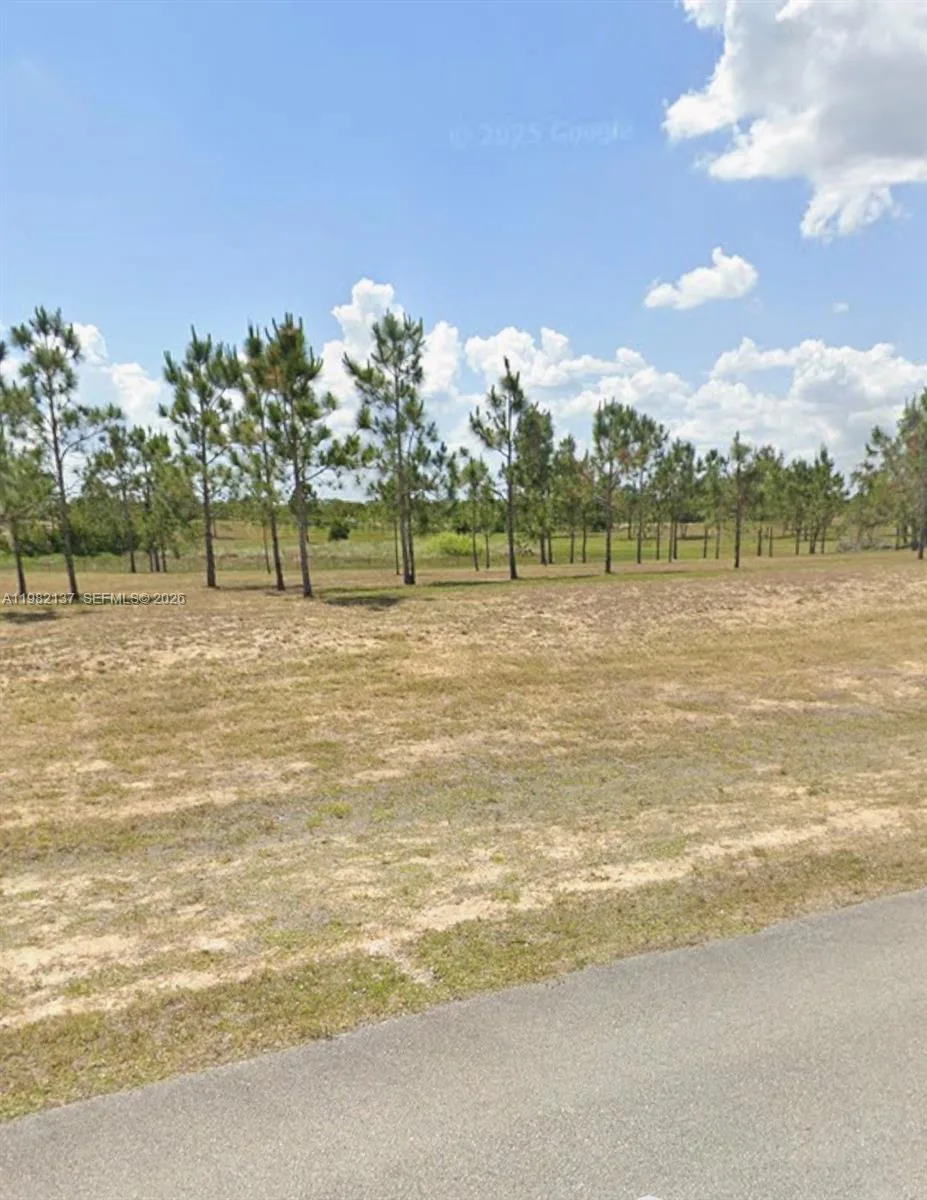 1009 ORANGE CREEK LN, Sebring, FL 33870 photo 3