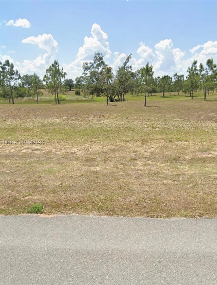 1009 ORANGE CREEK LN, Sebring, FL 33870 photo 4